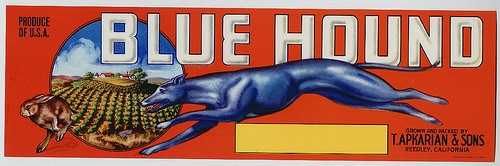 Blue-Hound-Crate-Label