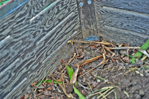 Using a Vintage Citrus Crate for Our Backyard Compost Bin - Domestic ...